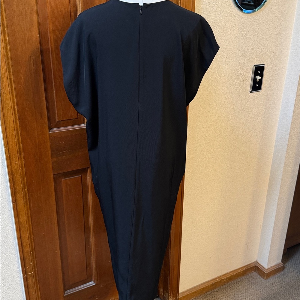 PRICE FIRM Everlane Dress Size 8 - Picture 6 of 7